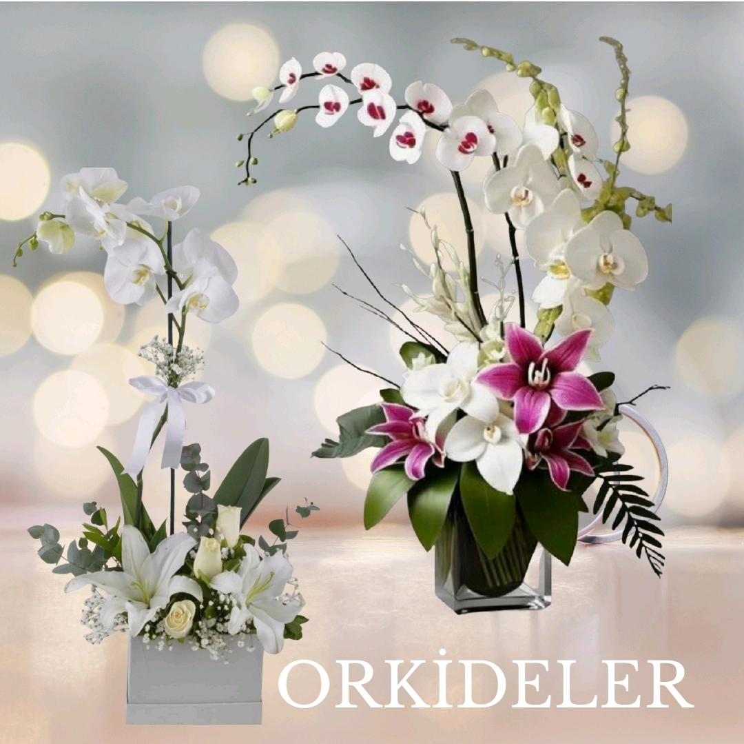 Orkideler
